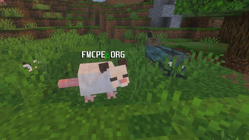 Opossum