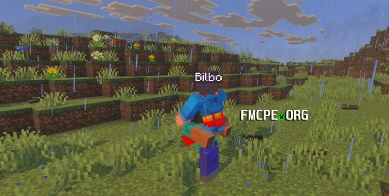 Piggyback addon