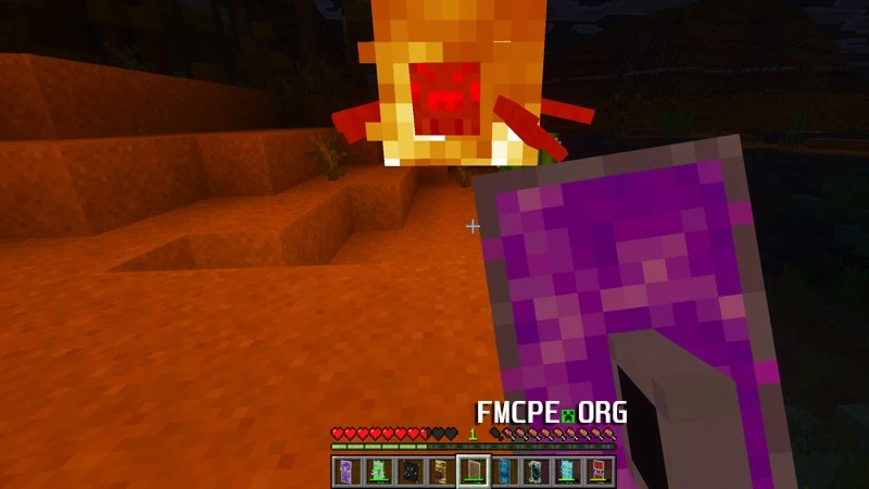 Shield have set mob on fire