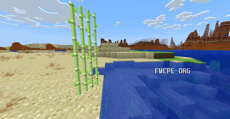 Sugarcane, Sand and Water in Alpha