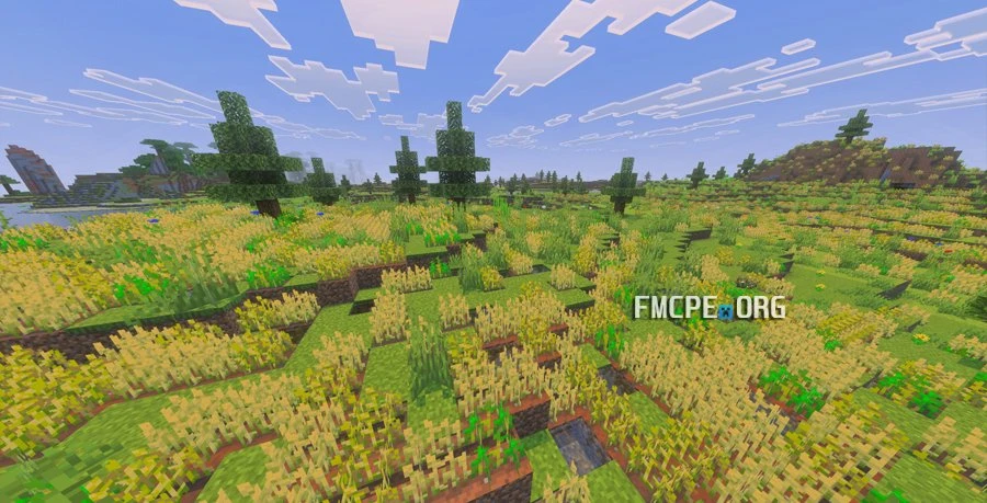 Wheat plains biome