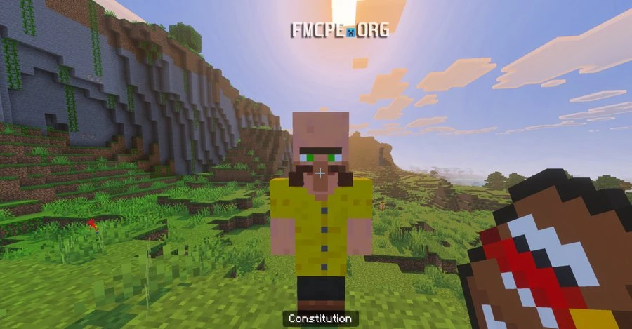 Making villager a citizen