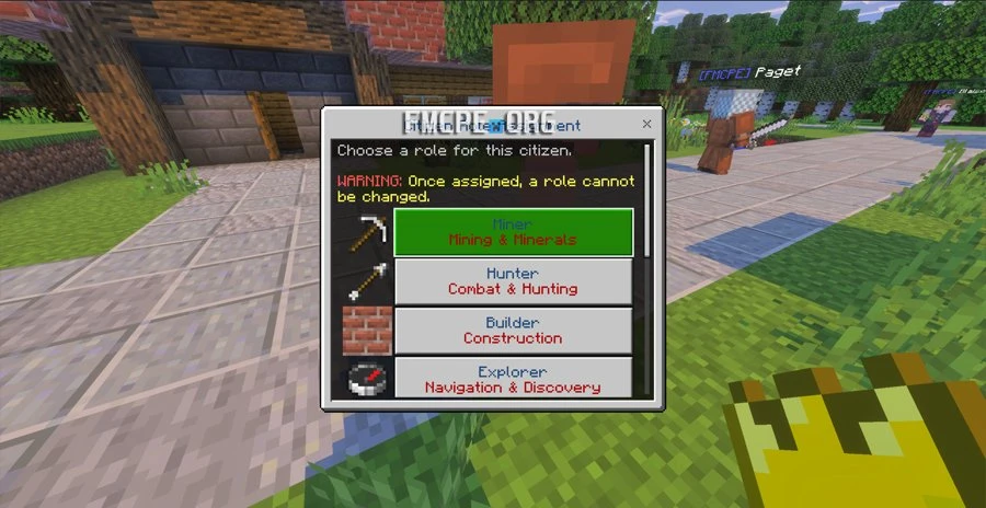 Choose citizen's role