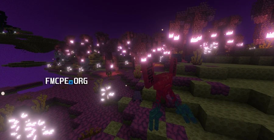 The beauty of the updated End dimension