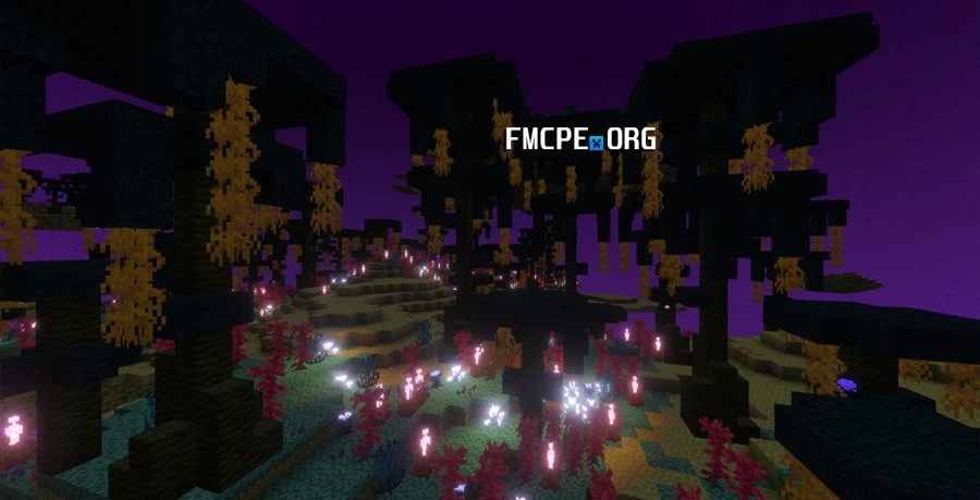 Endless Void biome
