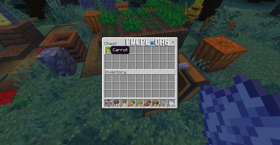 Carrots in the chest