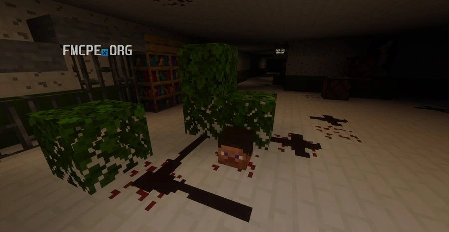 Steve's head and blood on the floor