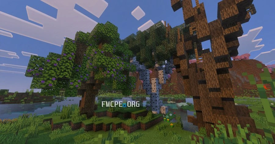 Medium sized trees
