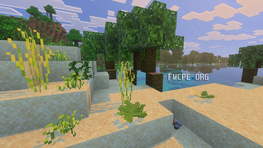 Tropical biome