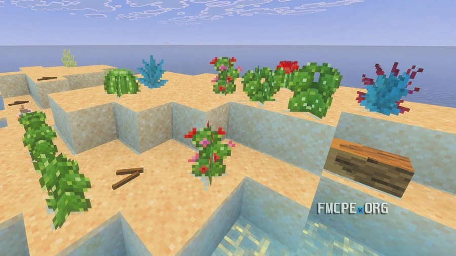 Desert biome vegetation