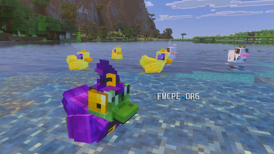 Rubber Ducks sitting in the water