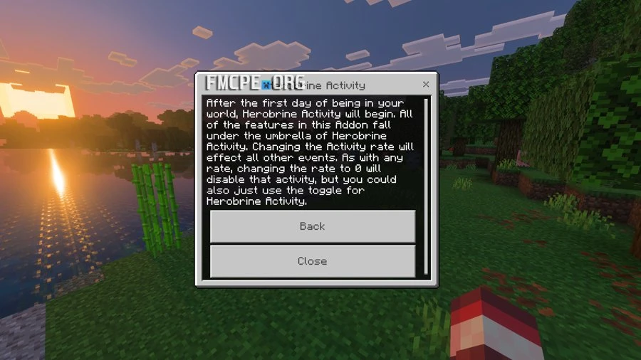 Herobrine Activity