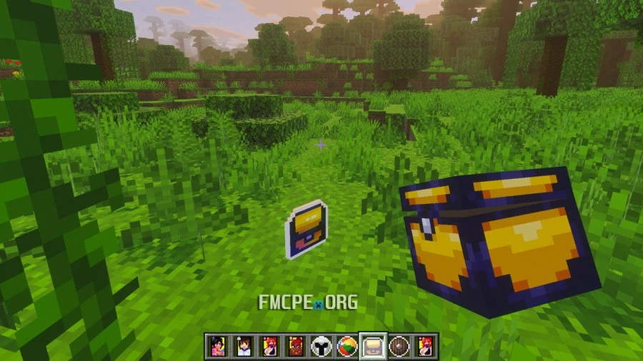 Treasure Chest
