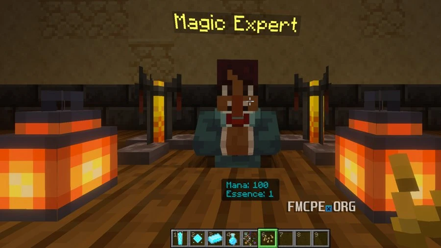 Magic Expert NPC