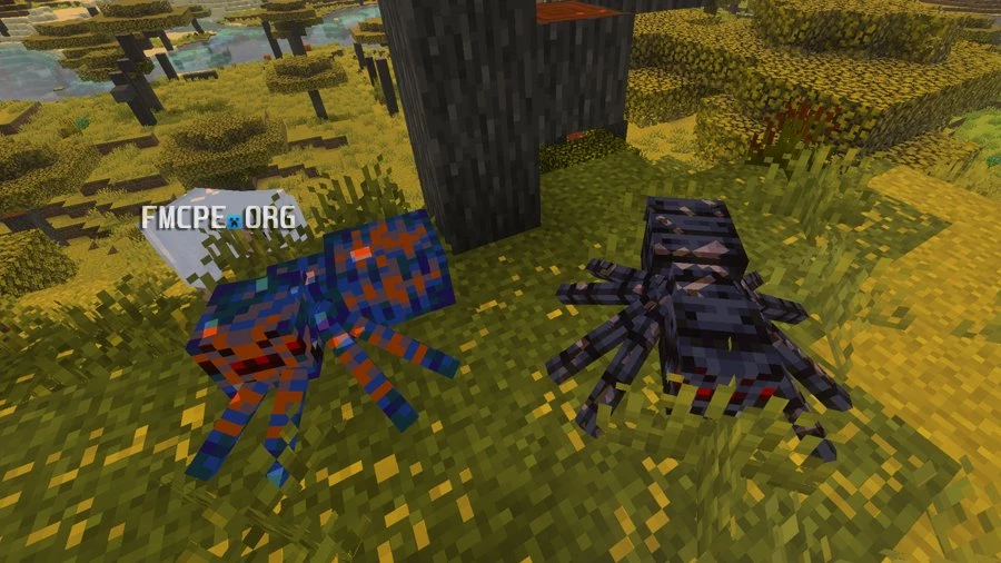 Jungle Spider Variant
