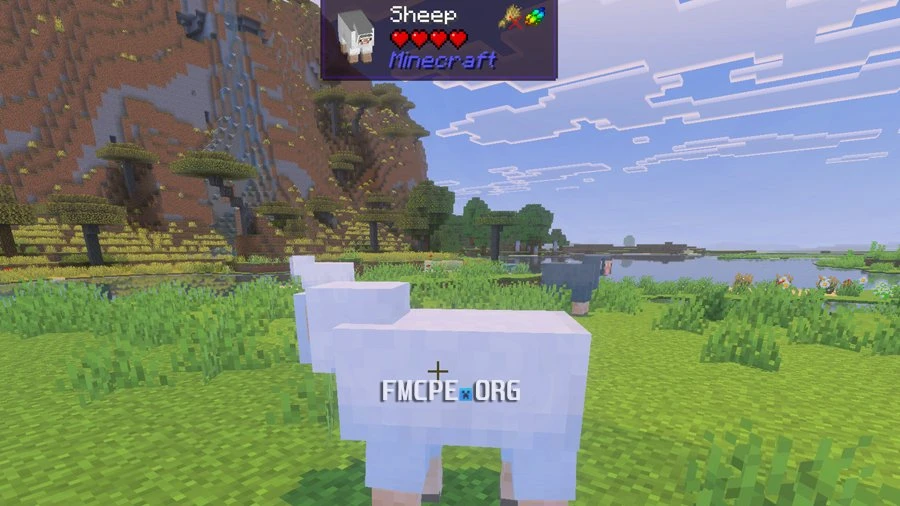 HP, and preferable food of the Sheep