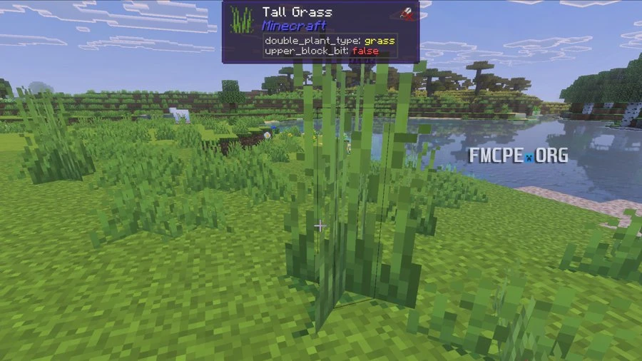 Waila showing info about Grass block