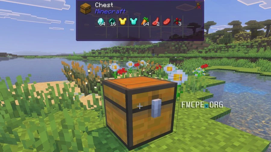 Contents of the chest