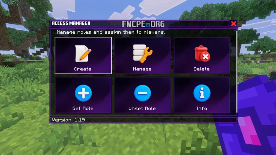 Manage, create and assign roles on the server