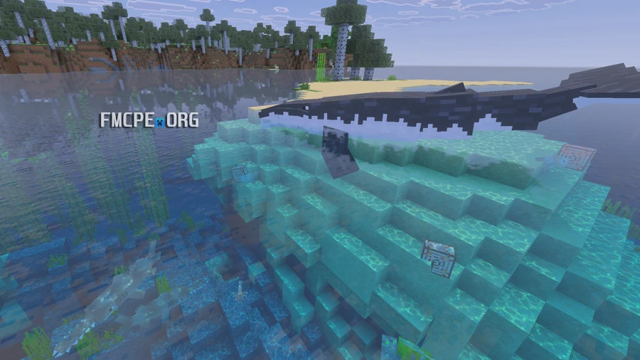 Whale and other fishes