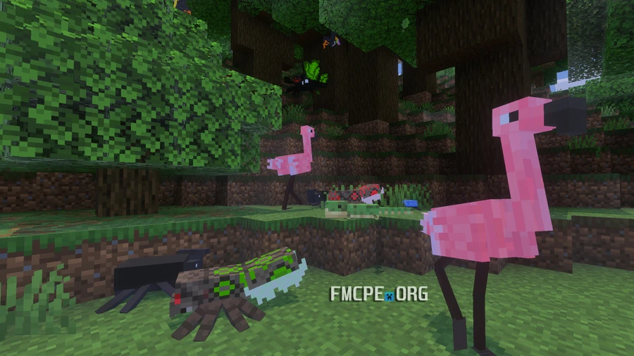 Flamingo, and spider