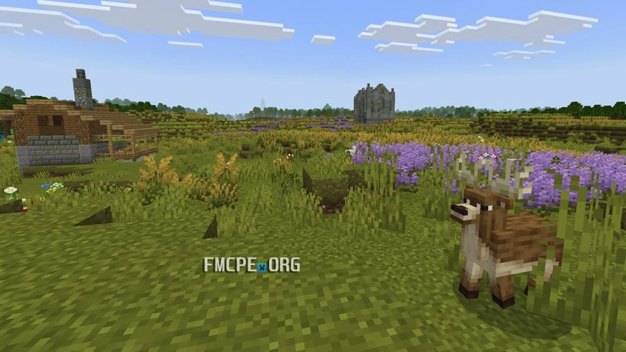 The wilds and a deer