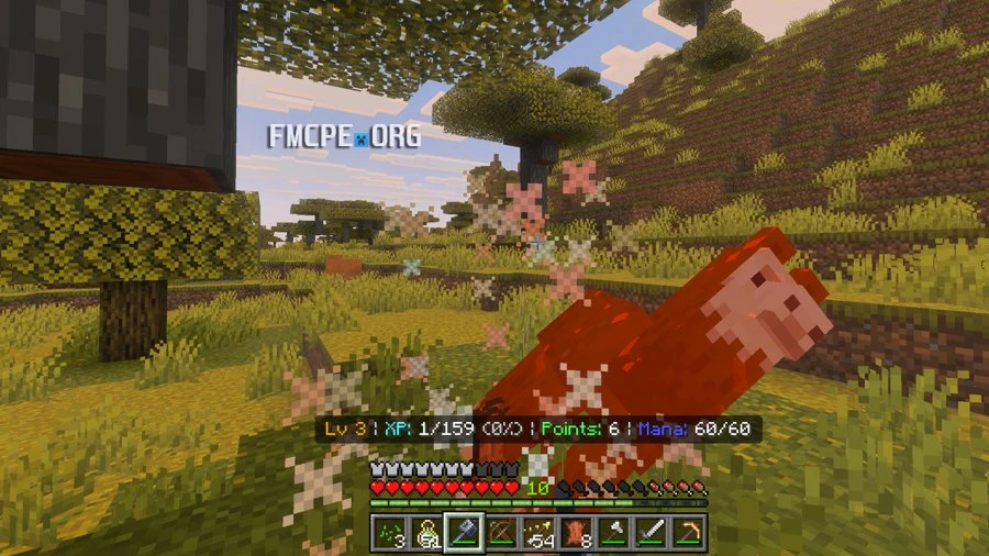 Hunt down mobs to gain experience