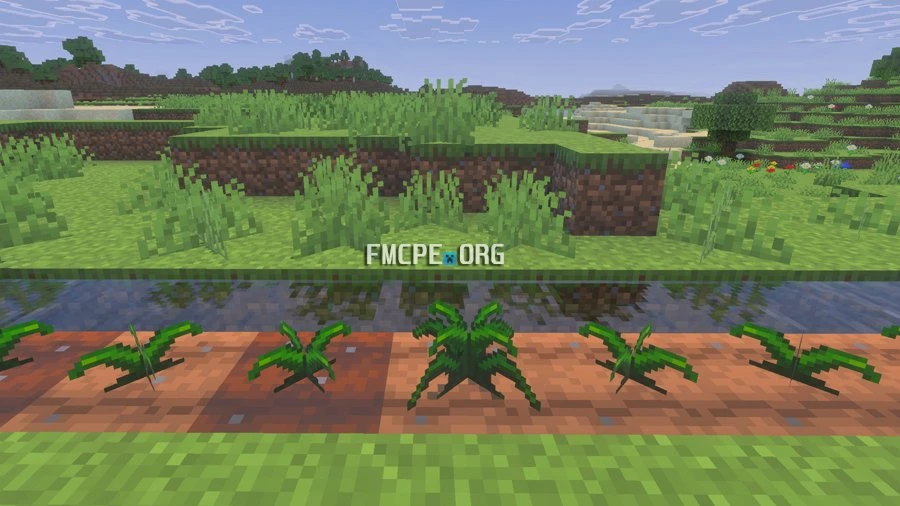 Essence Crop growing