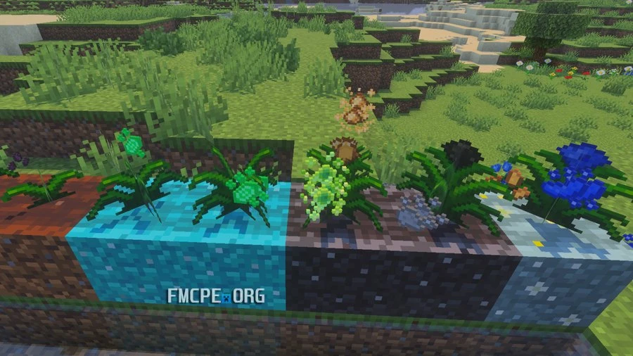 Farm essences on improved farmlands