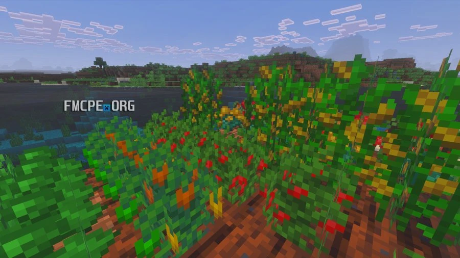 Tomato, corn, pepper, cabbage garden bed