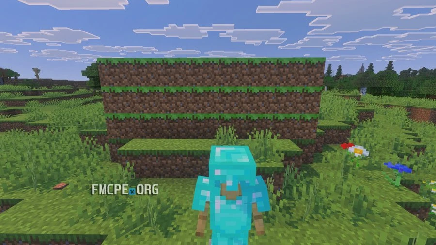 The Grass blocks from the front