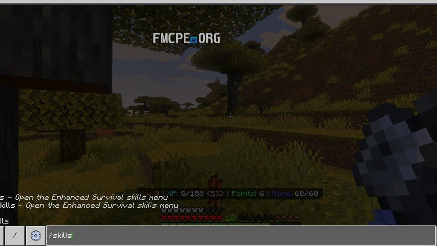 Access the skills via the command