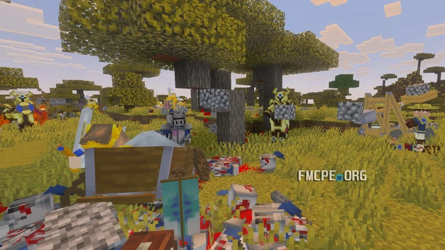 Aftermath of the battle