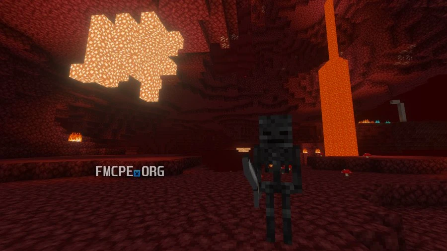 Wither Skeleton in Nether Wastes