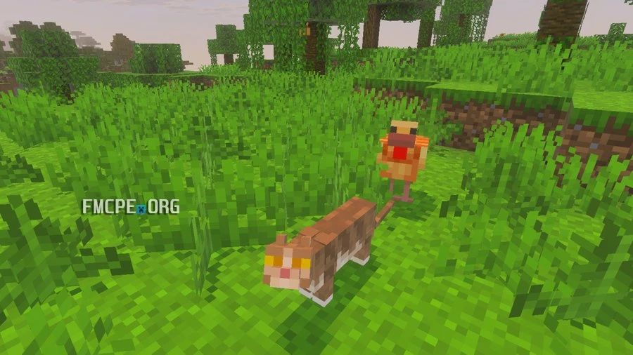 Cat spawn in the Jungle