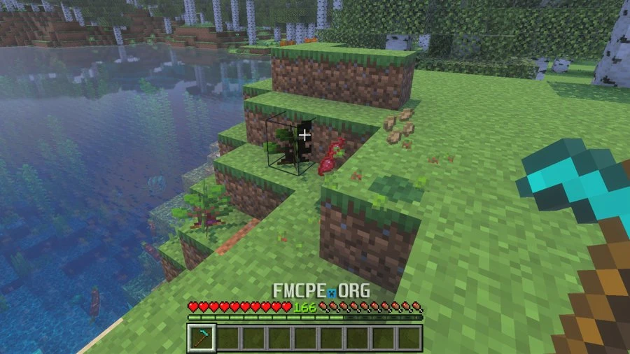 Gathering Wild beets