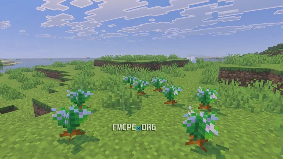 Wild Carrots growing in Planes