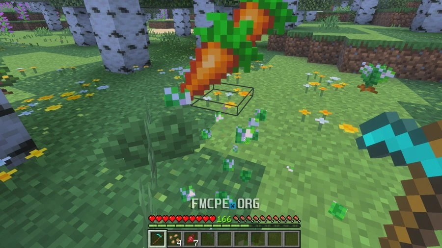 Gathering Wild Carrots