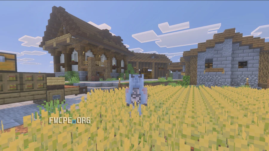 Standing in the barley field