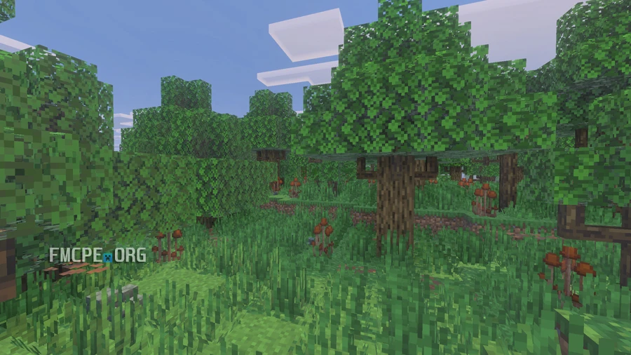 Forest in NatureCraft