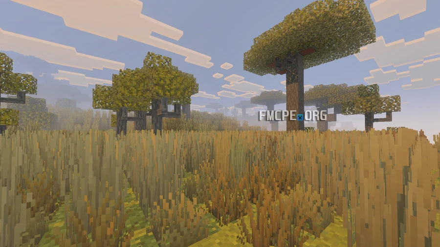 Savannah overgrown by grass