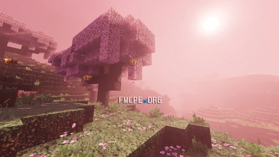 Cherry Tree lighting