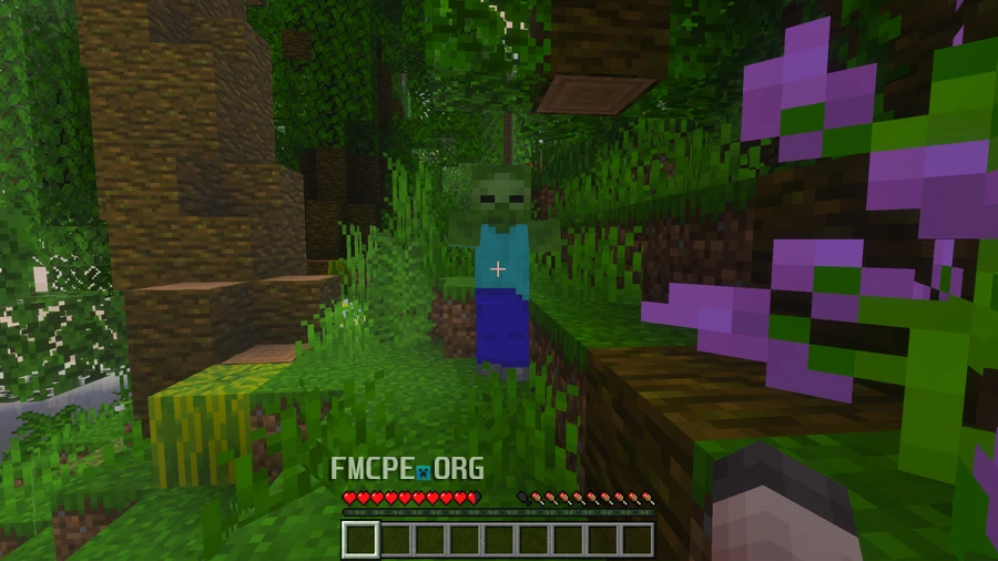 My first enemy was Zombie