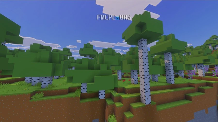 Bare Bones + Trailer Graphics