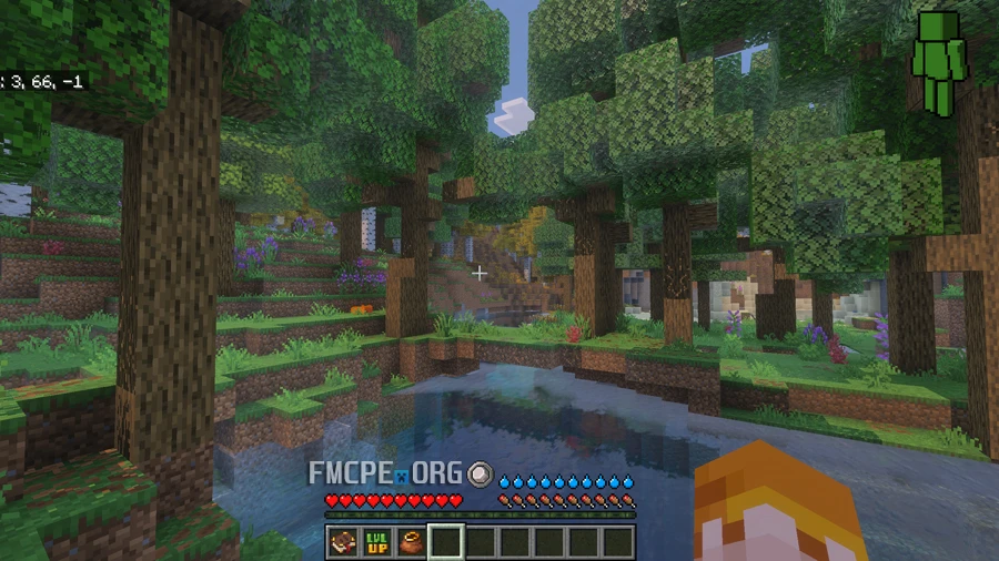 Forest biome in RLCraft