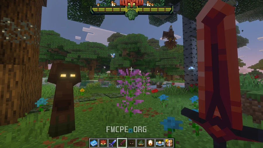 Exploring magic forest