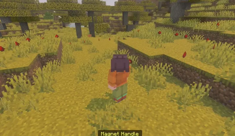 Magnet Working demonstration