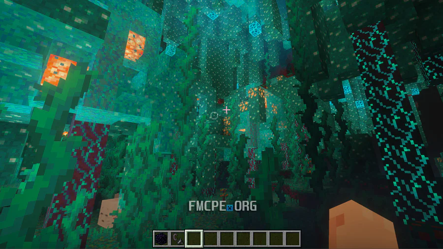 Dense Nether Forest
