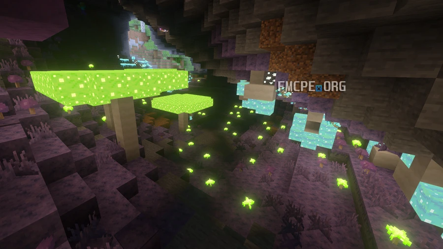 Toxic Mushroom cave biome
