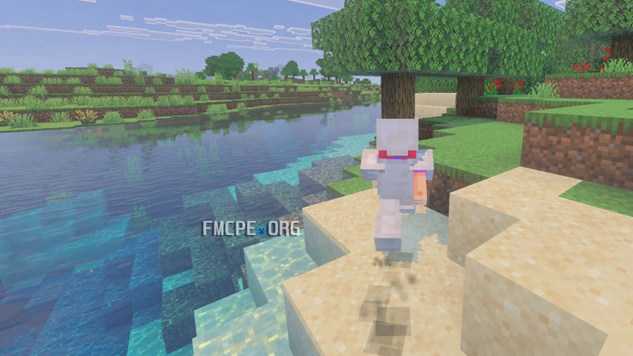 Character's steps on the ground